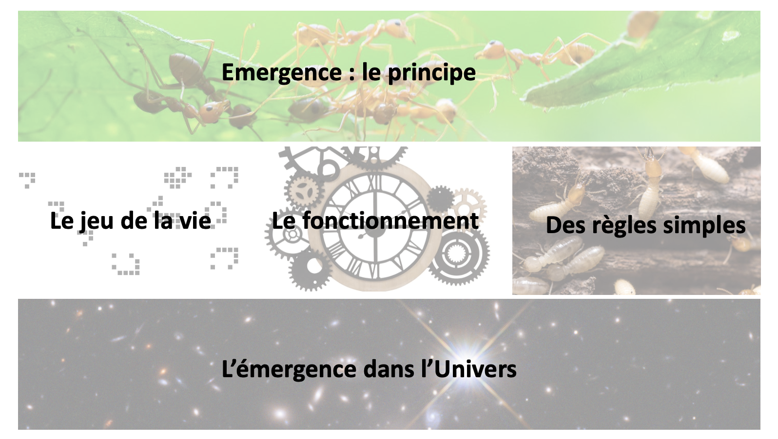 La nature emergente slide 2